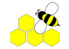 imagem abelha - parte de trás 