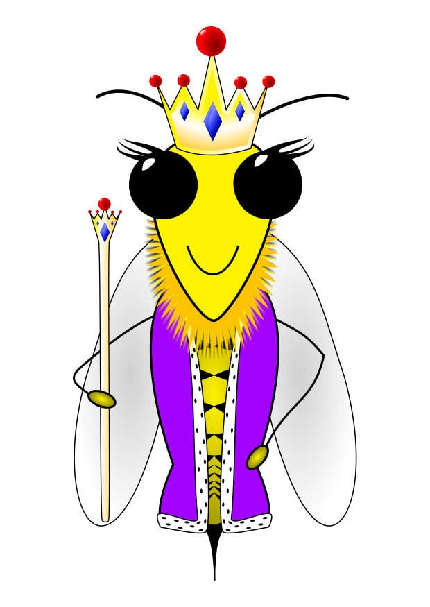 imagem abelha rainha 