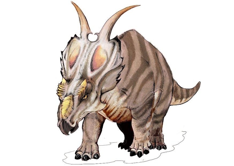 imagem Achelousaurus