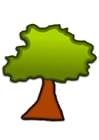 árvore 