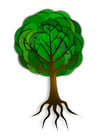 imagem árvore