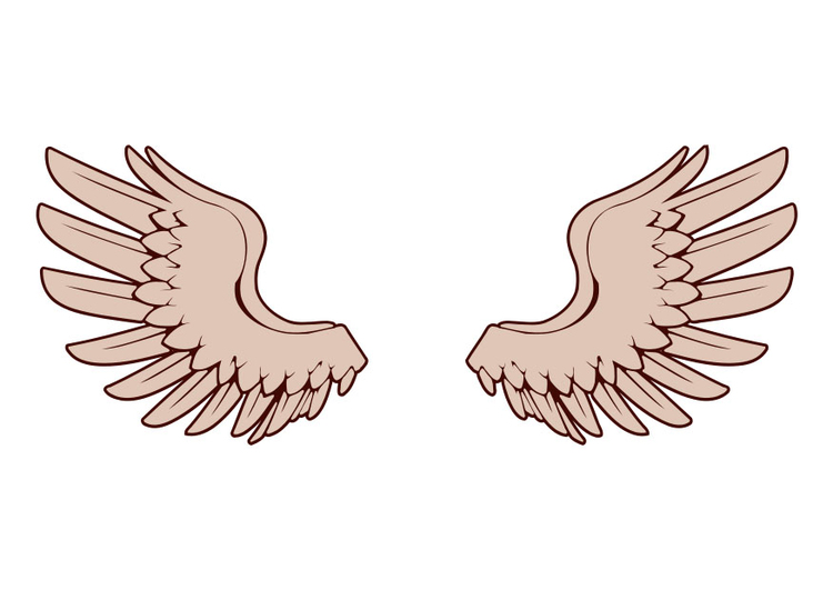 imagem asas