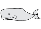 imagem baleia