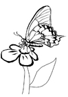 Página para colorir borboleta na flor