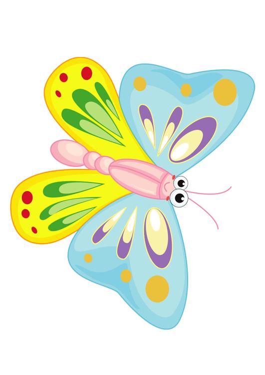 borboleta 