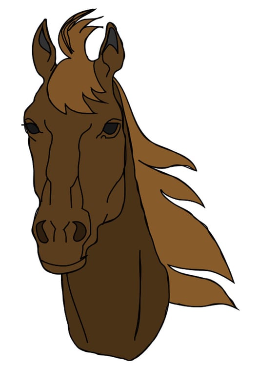 Desenho de Cabeça de cavalo para colorir