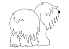 Página para colorir cachorro - pastor inglês