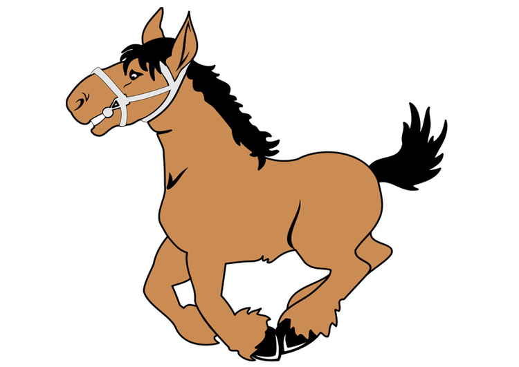 imagem cavalo