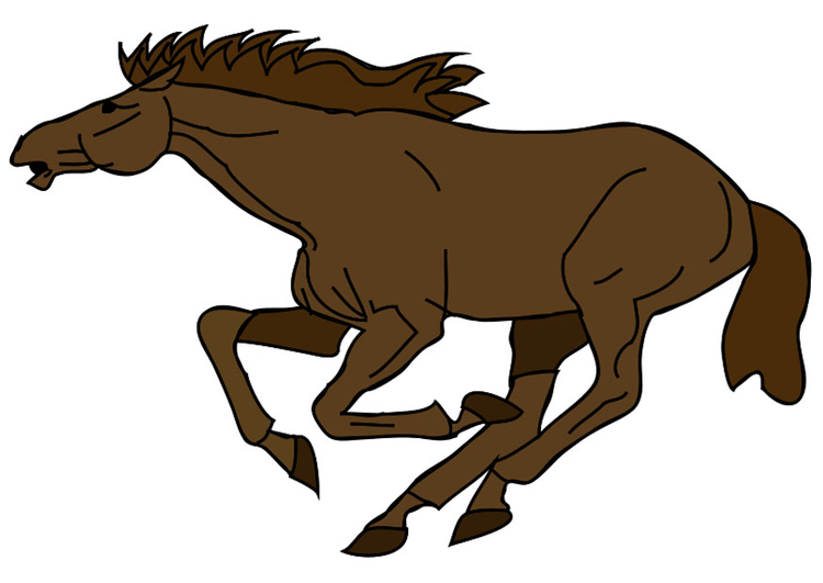 imagem cavalo