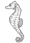 Página para colorir cavalo marinho