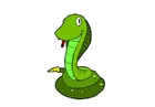 cobra