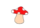 cogumelo 