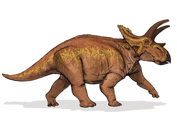 imagem dinossauro anchiceratops
