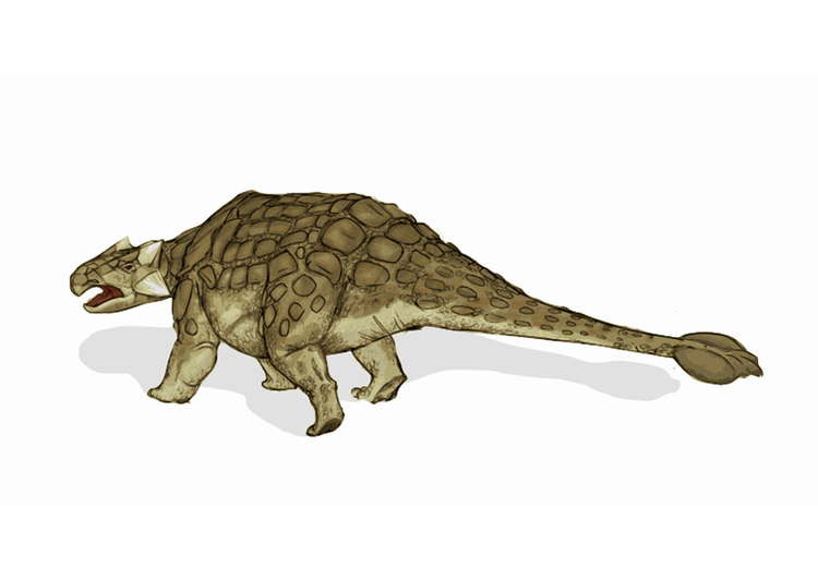 imagem dinossauro - anquilossauro 2