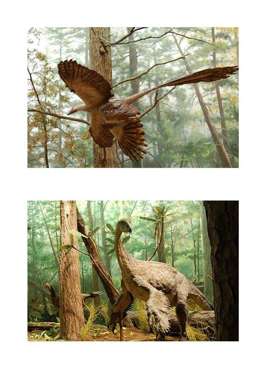 dinossauro com penas 