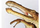 dinossauro irritator