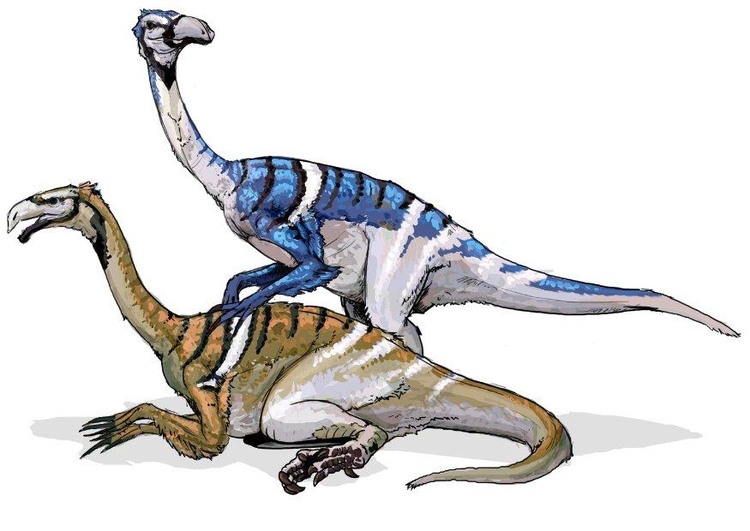 imagem dinossauro nanshiungossauro 