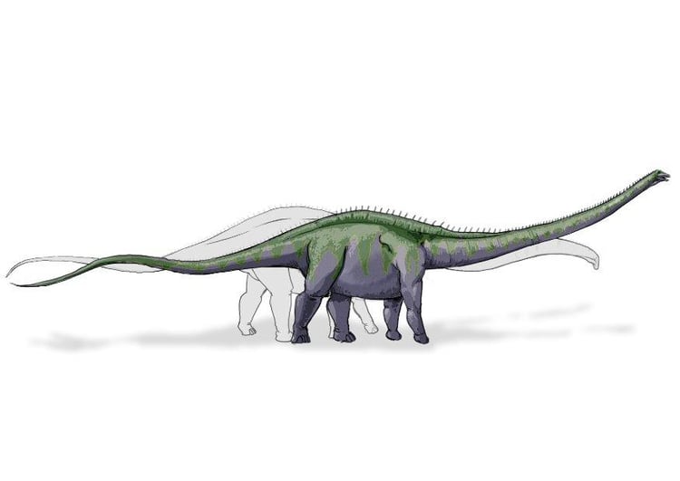 imagem dinossauro supersauro