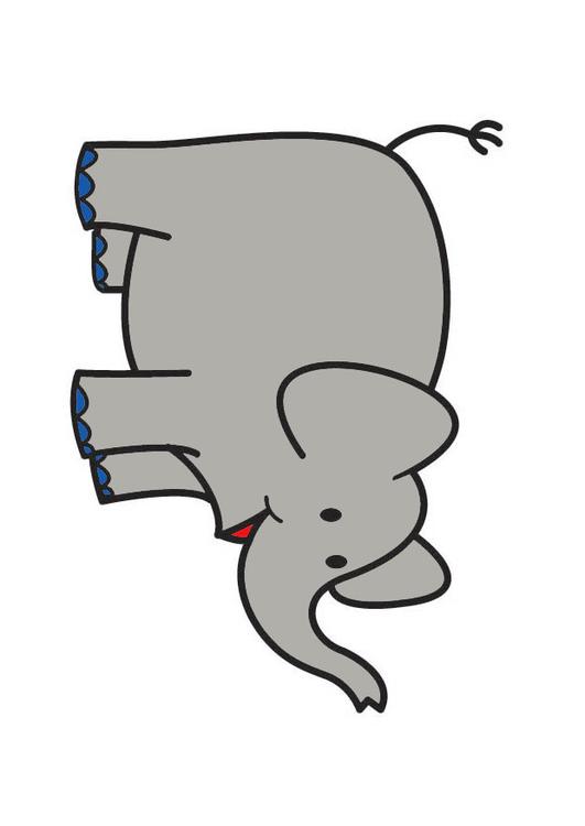 elefante 