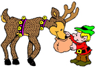 elfo e rena