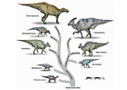 imagem evolução dos dinossauros