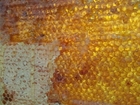 Foto favo de mel