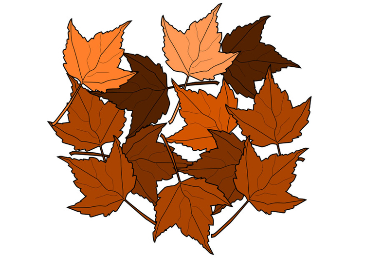 imagem folhas de outono