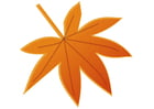imagem folhas de outono