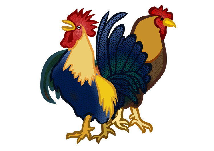 imagem galo e galinha