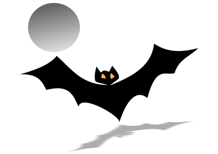 Image result for morcego