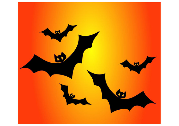 imagem morcegos