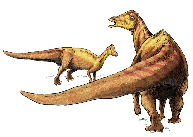 imagem niponossaurus