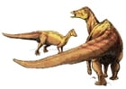 imagem niponossaurus