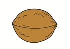 imagem noz