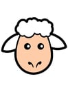 imagem ovelha