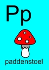 imagem p