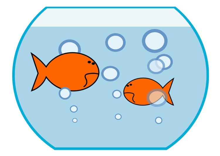 imagem peixinho dourado img 27213