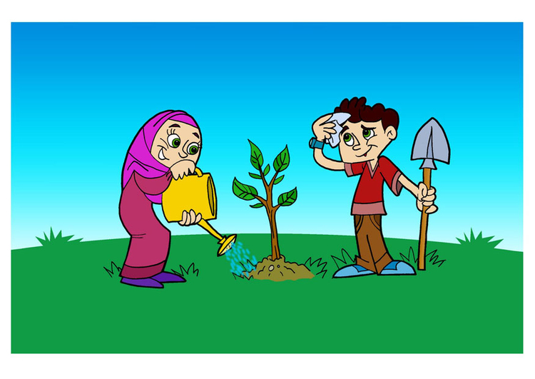 imagem plantar uma Ã¡rvore