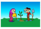 imagem plantar uma árvore