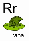 imagem r