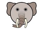 imagem r1 - elefante