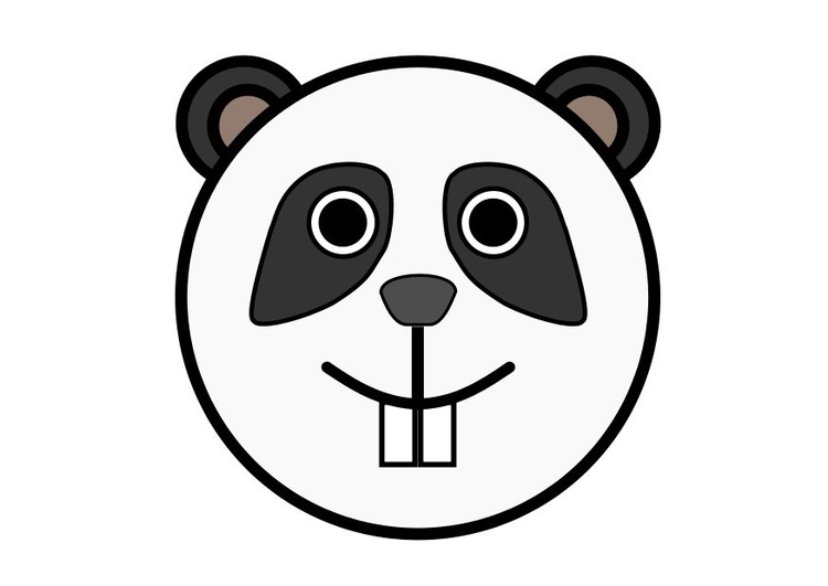 imagem r1 - panda