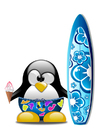 imagem surf