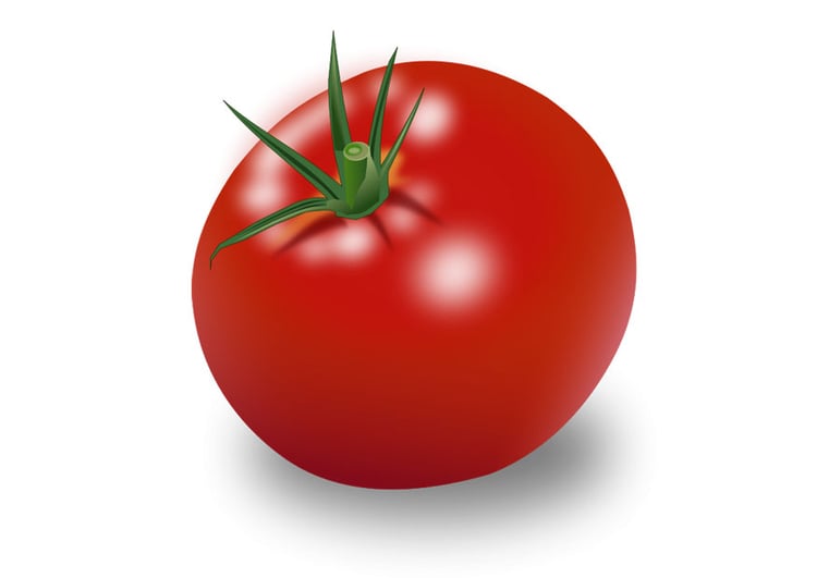 imagem tomate
