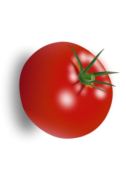 tomate