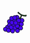 imagem uvas