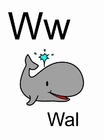 imagem w