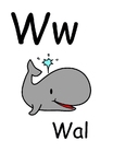 imagem w