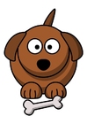 z1-cachorro