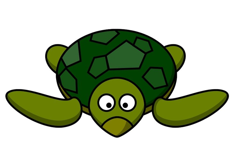 imagem z1-tartaruga